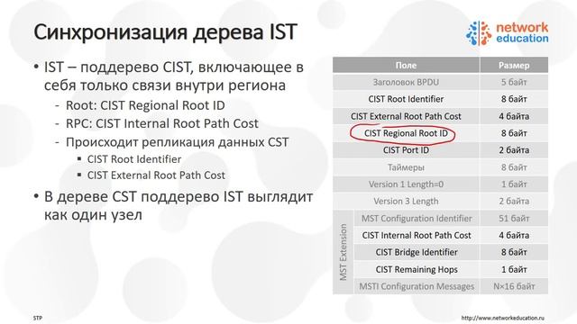 Протокол Spanning Tree - MST смотреть онлайн