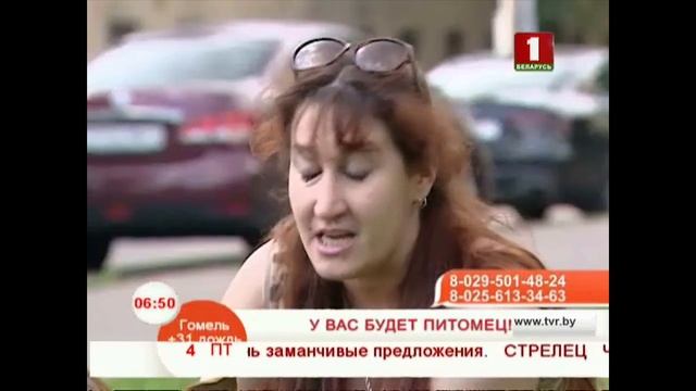 У вас будет питомец! смотреть онлайн