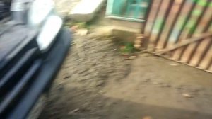 Нива Шевроле репрог на евро 2 с отключением EVAP адсорбер