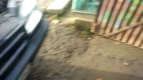 Нива Шевроле репрог на евро 2 с отключением EVAP адсорбер