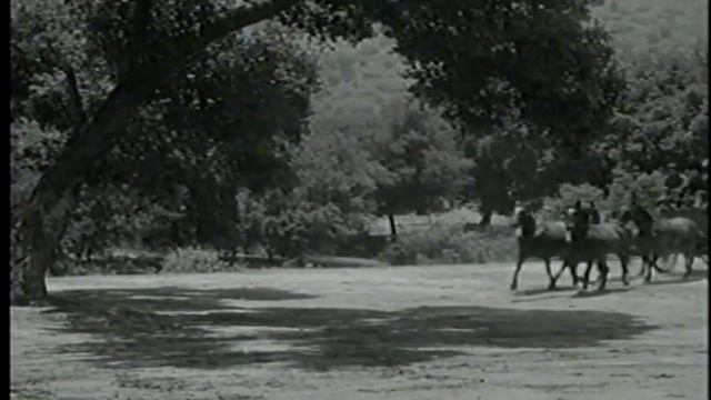 Old Pinto and His Cowboy Pal смотреть онлайн