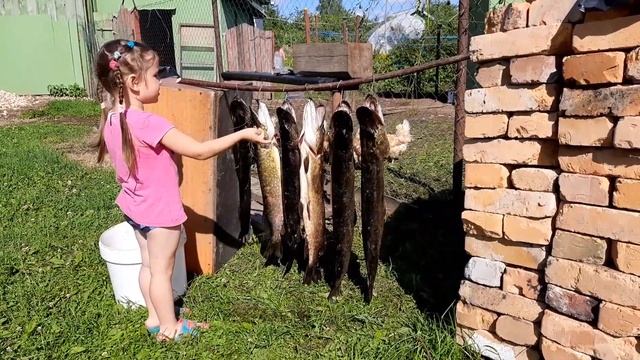 Ловля крупной щуки в июле на Нарвском водохранилище. смотреть онлайн