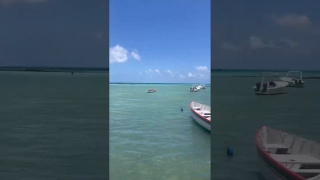 Время Рождества на острове Маврикий смотреть онлайн