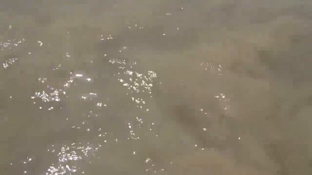 Купаемся на ГОА смотреть онлайн