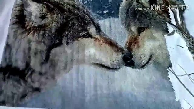 #вышивкахимера СП" Больше,чем просто большая".Волки по схеме от Химеры-90% отчет за май смотреть онлайн