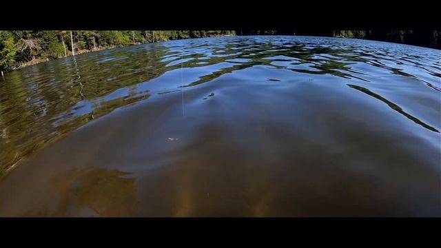 Third Trout - MONSTER Brook Trout caught from the kayak! смотреть онлайн
