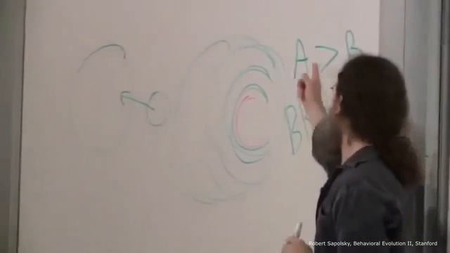 Fireflies, Neural Networks and Genetic Algorithms walk into a bar… смотреть онлайн