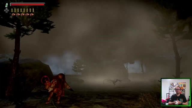 Silver Falls: White Inside Its Umbra & Silver Falls Frontier Hunters | 2023 WII U GAME смотреть онлайн