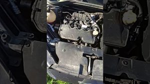 Лада веста ,гула нет!