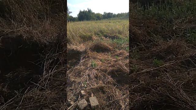 Уральские казаки.(3) смотреть онлайн