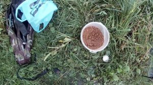 Рыбалка на фидер на реке Дон в Липецкой области