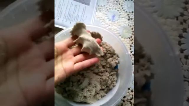 Кинетический песок!!!!! Очень прикольные свойства он имеет! смотреть онлайн