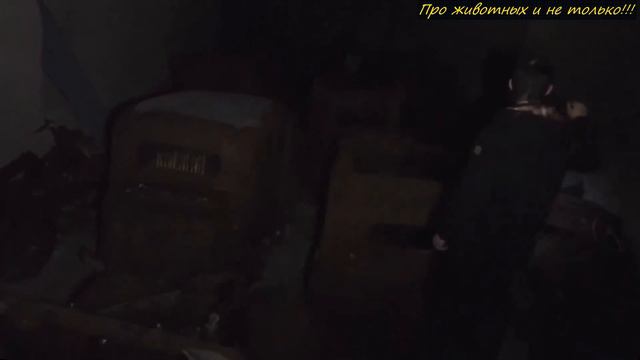 Гуляя в горах фотограф случайно нашёл вход в пещеру! Пробравшись в неё, он застыл на месте! смотреть онлайн