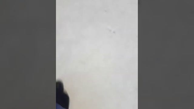 нз иди дамой просто я айзере из каласса 2е я казак смотреть онлайн