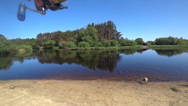 Жерех реки Березина смотреть онлайн