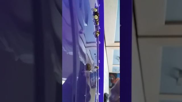 Новая кладка ууфффхх