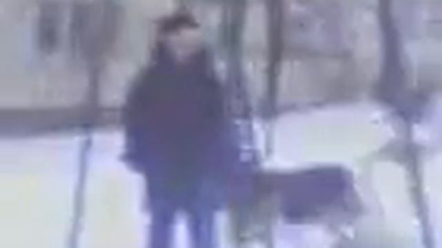 собака на качелях смотреть онлайн