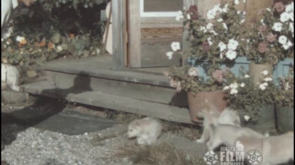 Leonhard and Constance Seppala with puppies