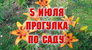 5 июля. Прогулка среди цветов.mp4