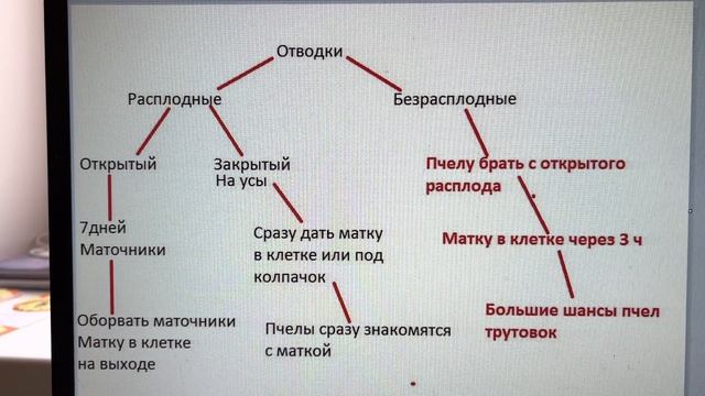Механизм подсадки матки ио разными способами. И что происходит. смотреть онлайн