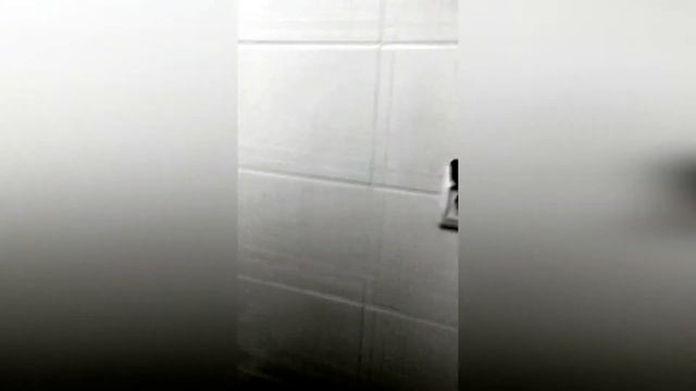 Видео для ЦИАН смотреть онлайн