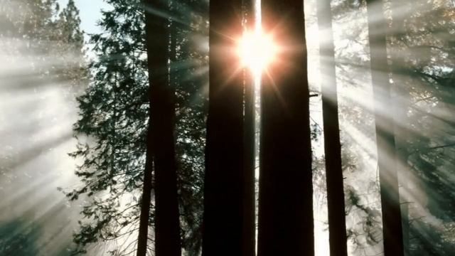 Kevin Kern - Out of the Darkness, Into the Light смотреть онлайн