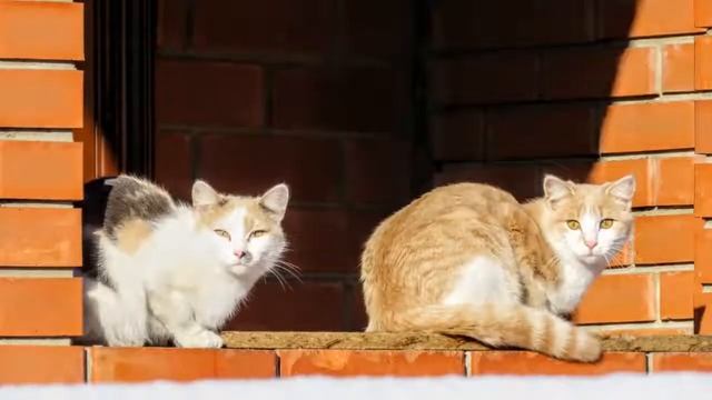 ПГТ Промышленная смотреть онлайн
