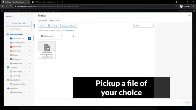 WP Media Folder and Avada: galleries, embed PDF смотреть онлайн