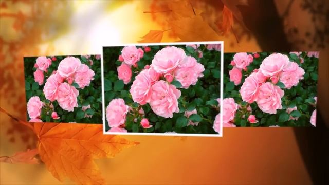 СТАРЕЮ, СТАРЕЮ--Тамара Козлова смотреть онлайн