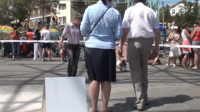 20120505125913.mpg смотреть онлайн