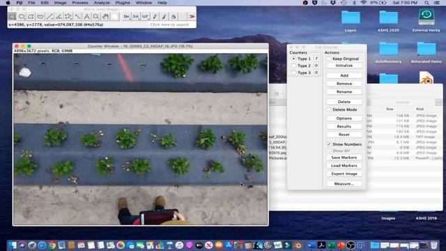 ImageJ Tutorial 4.2 - Count Flowers and Fruits Using a Counter Tool смотреть онлайн