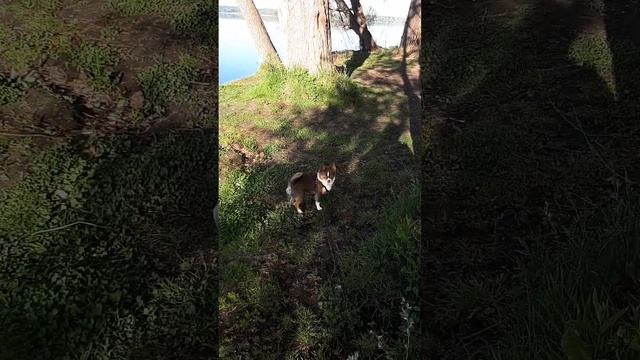Наше озеро Врëво. Семейный архив. смотреть онлайн