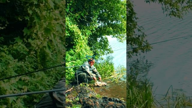 Что я делаю с уловом... смотреть онлайн