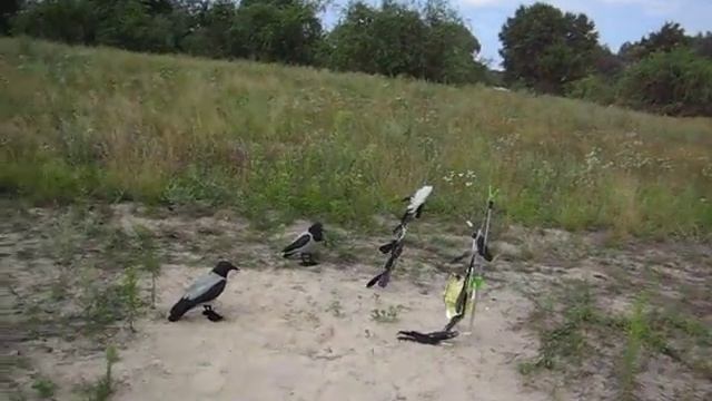 Вороны. смотреть онлайн