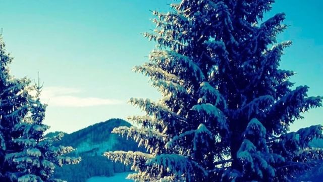 Валя услышала от воспитательницы что дочку забрала её сестра, но сестры у неё никогда не было смотреть онлайн