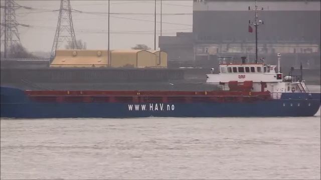 HAV SNAPPER Short Film, 19/02/2019.Thames Shipping by R.A.S. смотреть онлайн