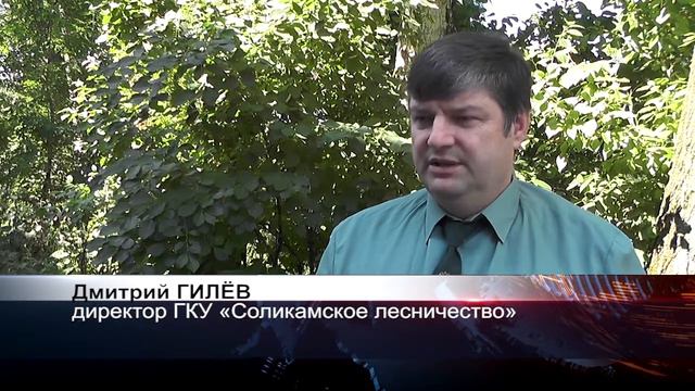 Противопожарный мониторинг в лесах Прикамья ведется круглосуточно. Объявлен высокий класс опасности