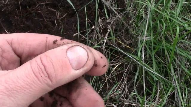 Коп 2016 Поиск монет на старой деревне! Не понятный ориентир Гугл! смотреть онлайн