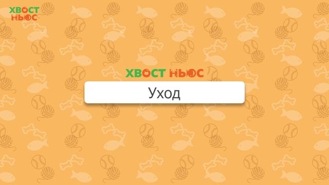 Все о породе кошек тойгер смотреть онлайн
