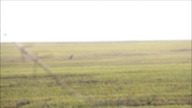 Canon EOS 60D 18-135 test video смотреть онлайн