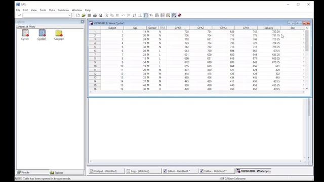 SAS Creating new variables in a dataset смотреть онлайн