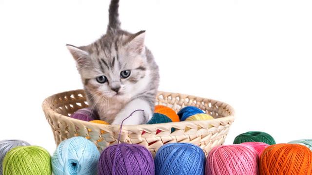 Кошки играют с клубком ниток показ слайдов 2015! смотреть онлайн