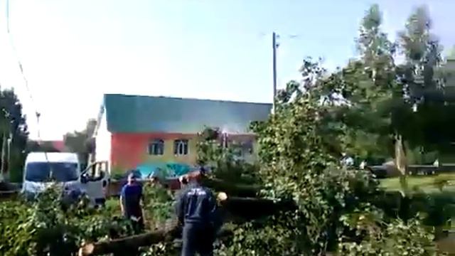 Мордовия Рузаевка Дерево упало на машины смотреть онлайн