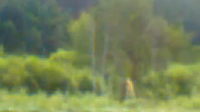 Видео0006 смотреть онлайн