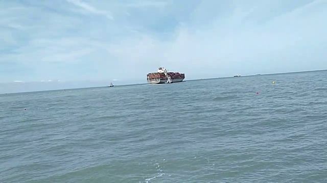 Гавр, потрясающий собор, мосты и чайка. смотреть онлайн
