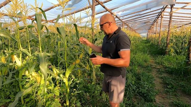 В гостях у конкурентов смотреть онлайн