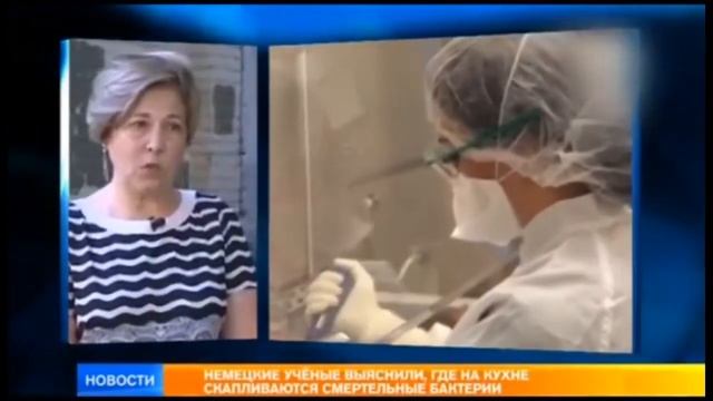 Кухонная губка опасно! смотреть онлайн