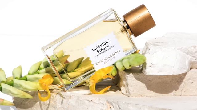 Goldfield & Banks INGENIOUS GINGER Fragrance Review | Spicy, Floral, Creamy Amber Deliciousness смотреть онлайн