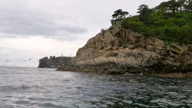 2 дня из жизни с дайверами смотреть онлайн