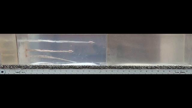 Barnes VOR-TX .45 Colt VS .357 Magnum смотреть онлайн